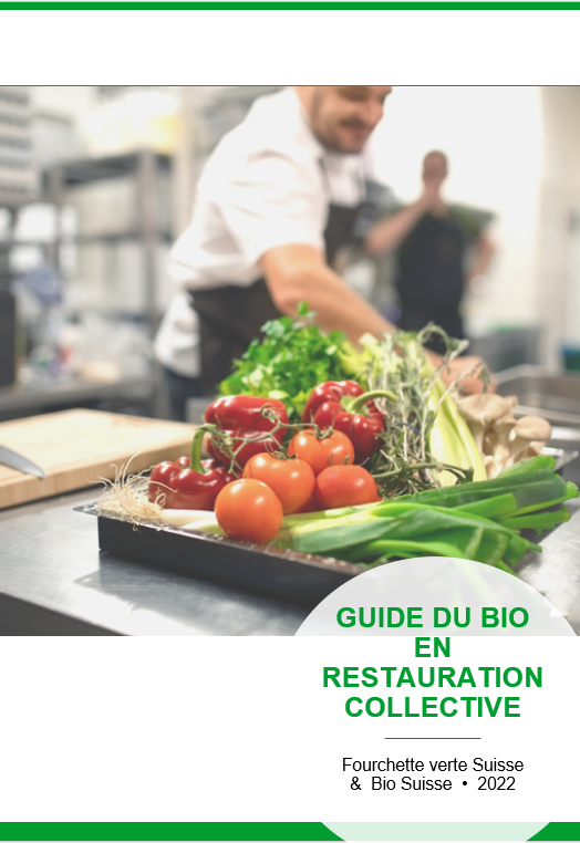 Guide Bio